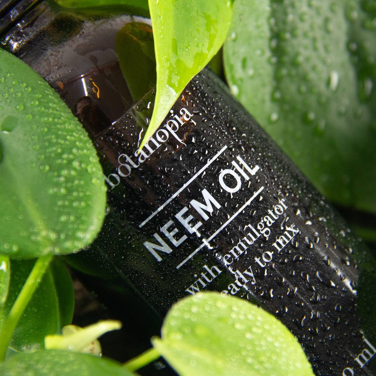 Neem Oil Concentrate