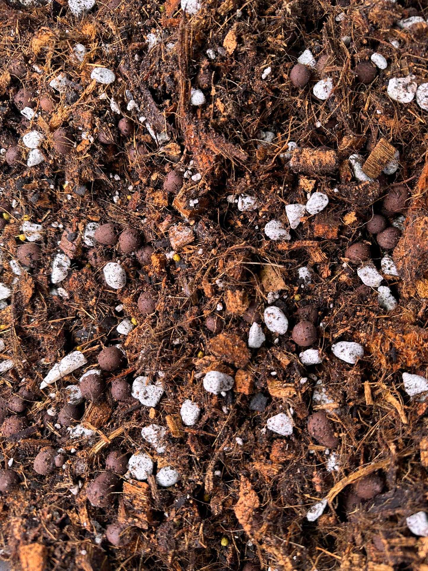 Chunky Soil