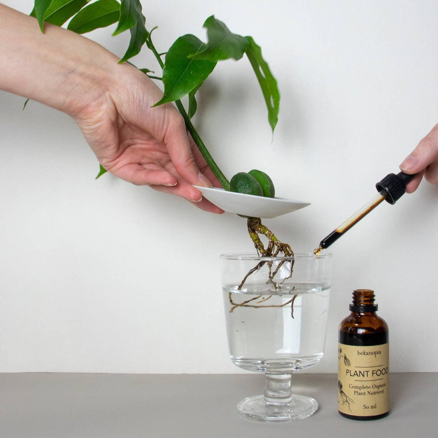 Organic Plant Food Concentrate