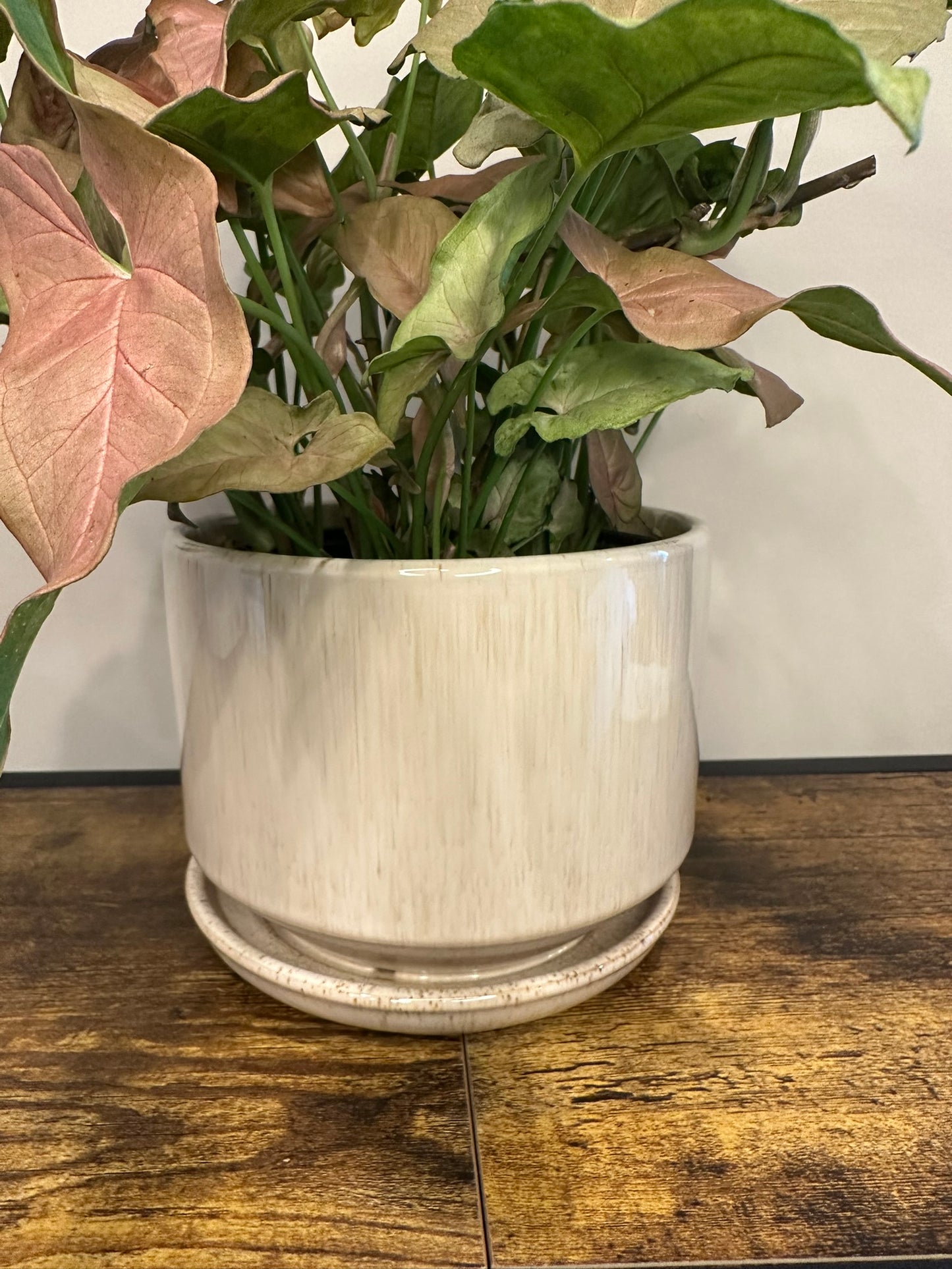 Cream Ceramic Pot - Multiple Sizes