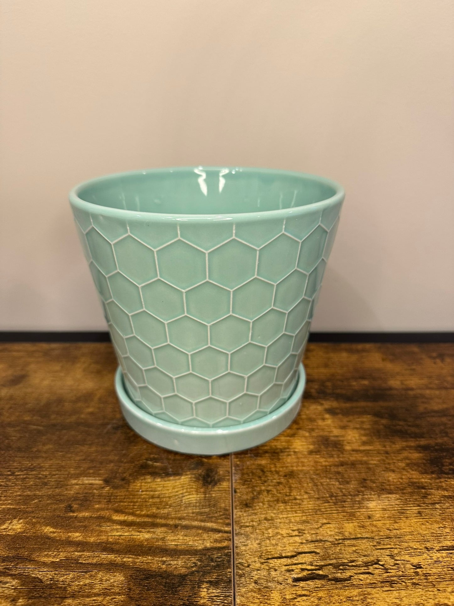 Turquoise Honeycomb Pot - Multiple sizes