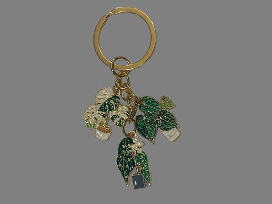 House Plant Keychain