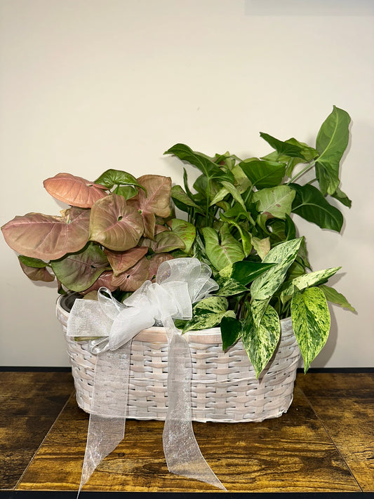 Gift Basket add on - Local Delivery Only